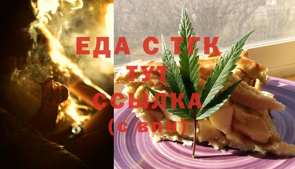 индика Вязники