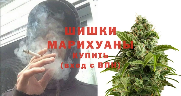 индика Вязники