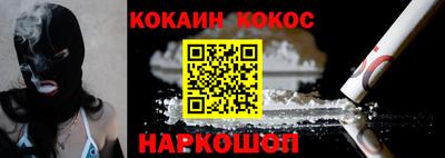 сатива Гай