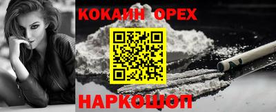 бошки Гатчина