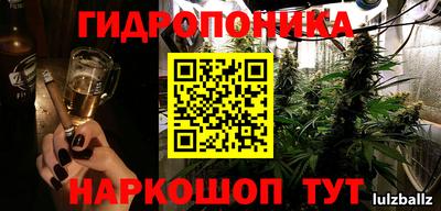 бошки Гатчина