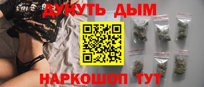 сатива Гай