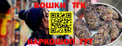 сатива Гай