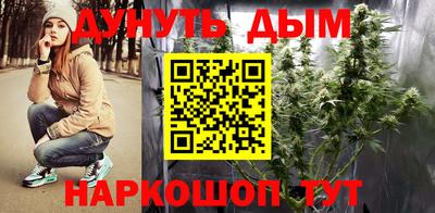 бошки Гатчина