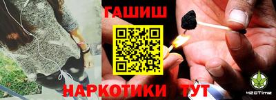 сатива Гай