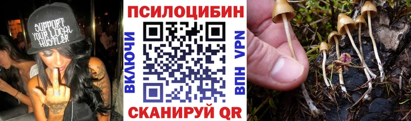 наркошоп  Людиново  Галлюциногенные грибы ЛСД 