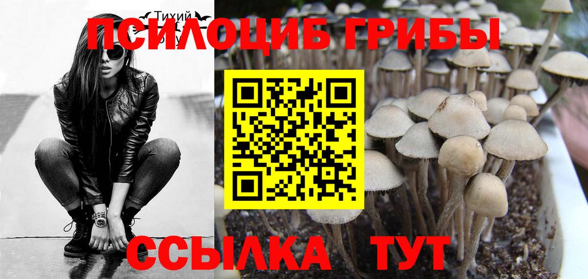 Галлюциногенные грибы мухоморы  Вход с VPN  Людиново 